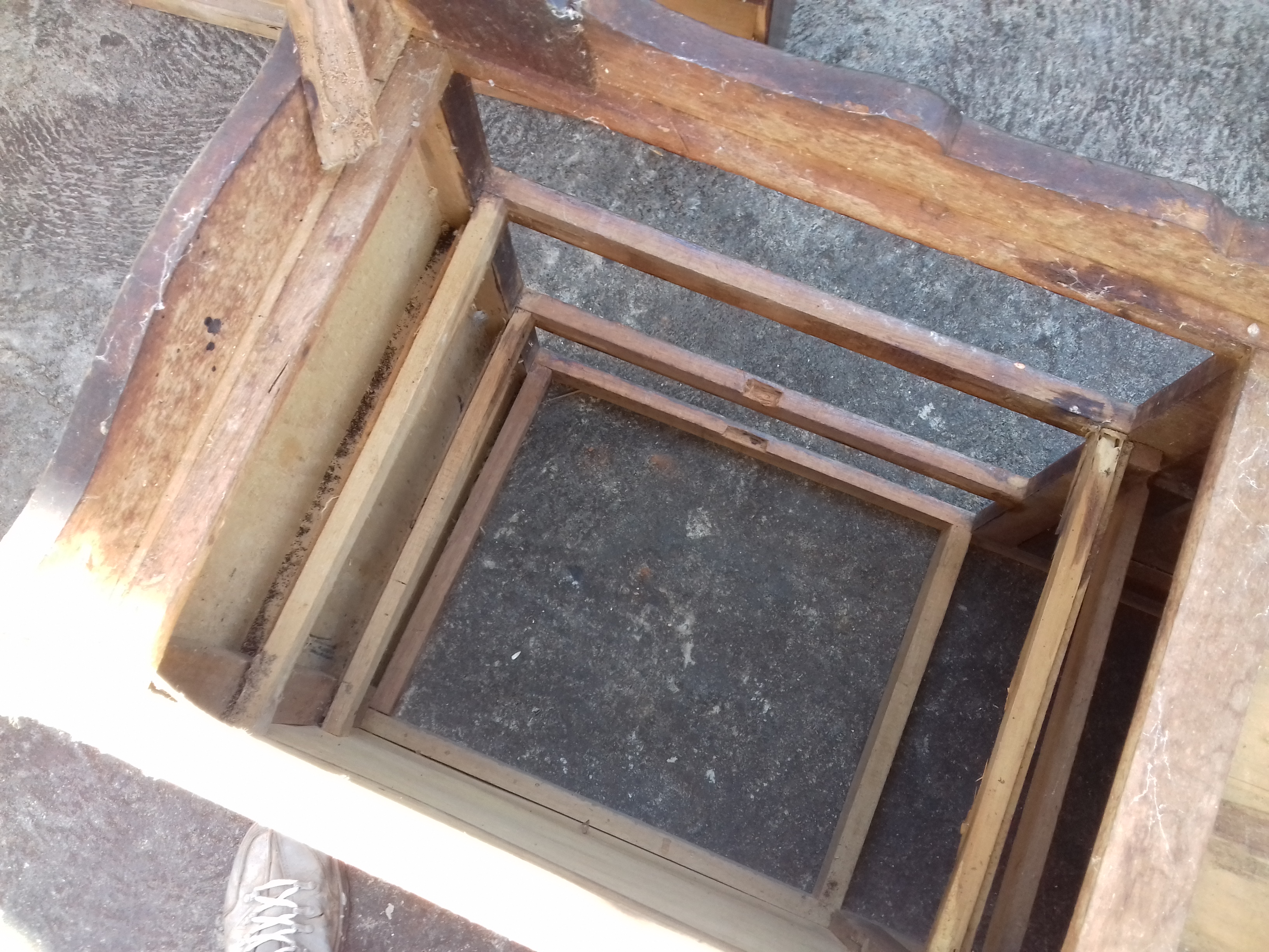 Tratamento Contra Cupim